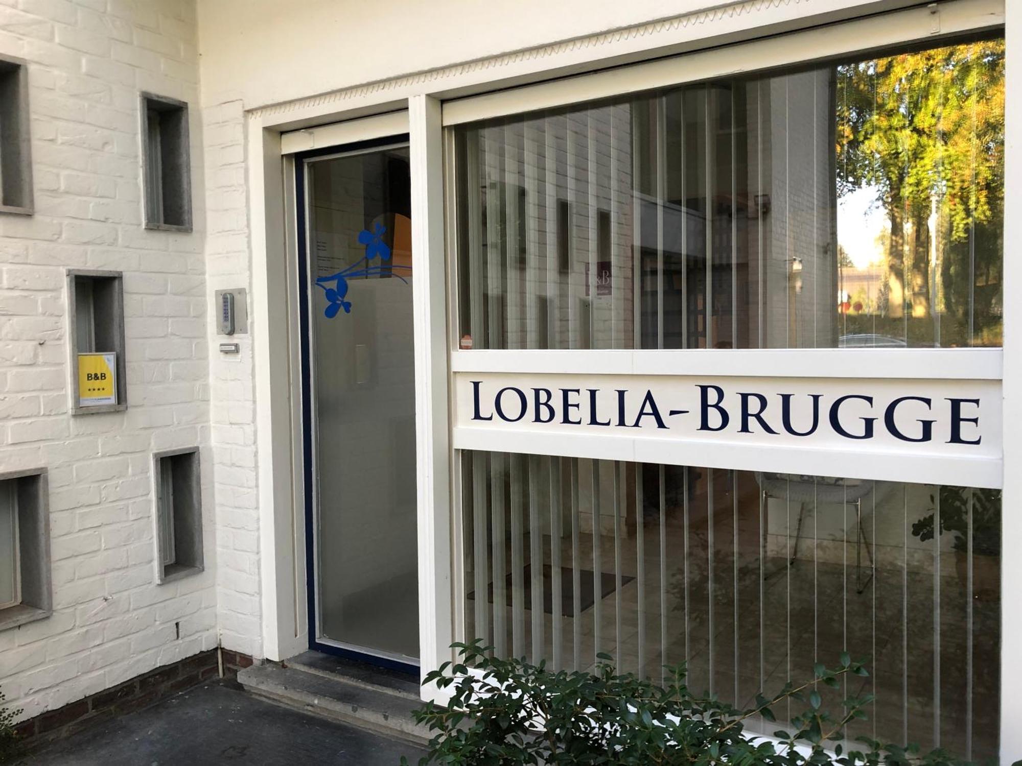 B&B Lobelia-Brugge Kültér fotó