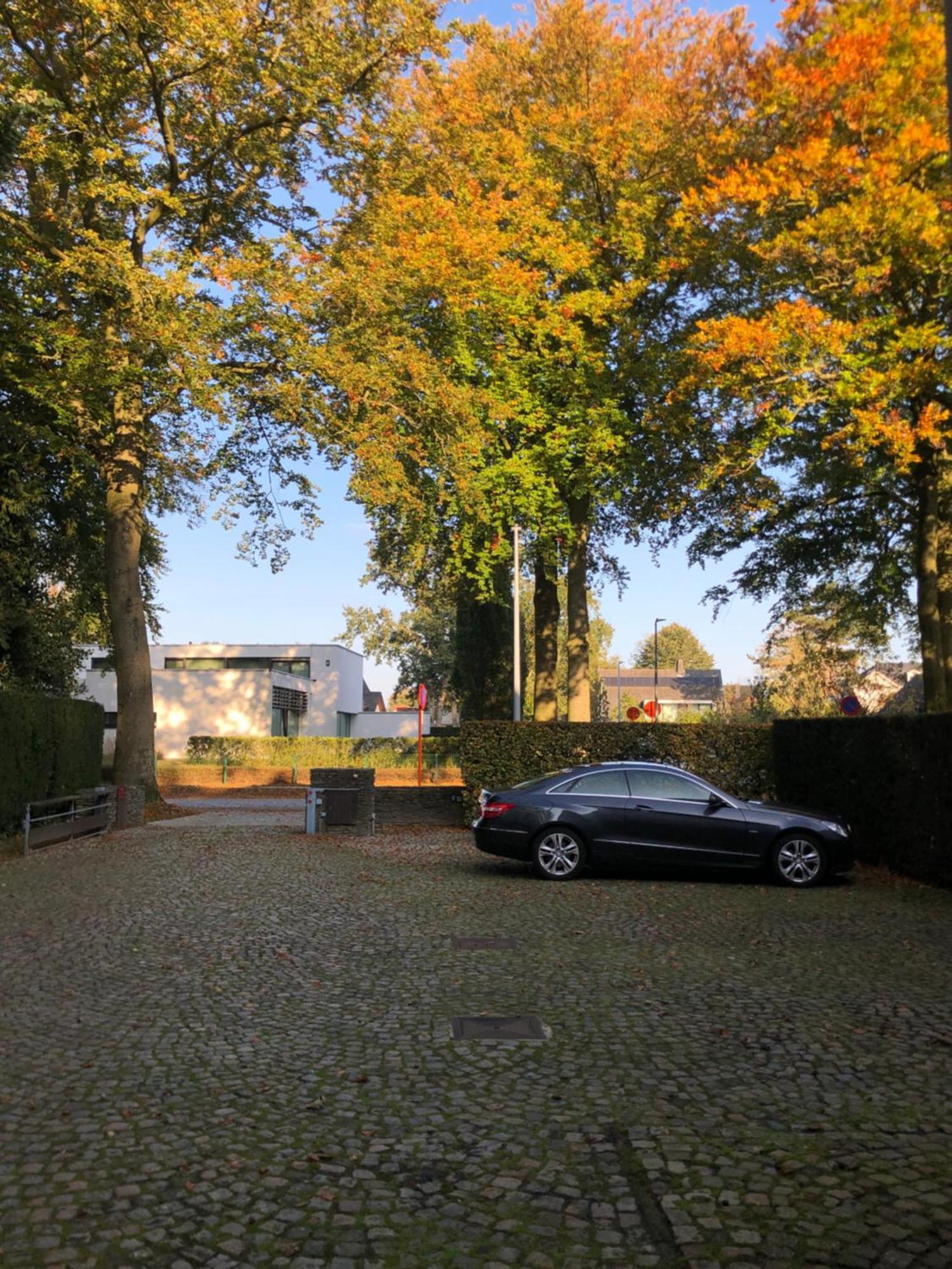 B&B Lobelia-Brugge Kültér fotó