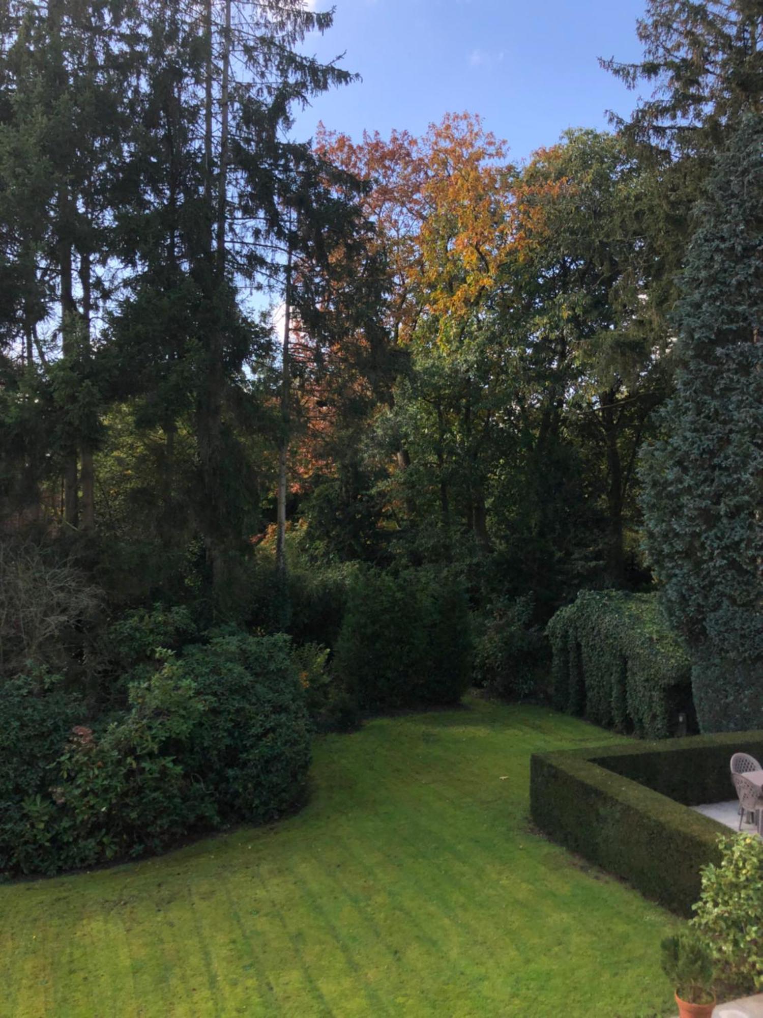 B&B Lobelia-Brugge Kültér fotó